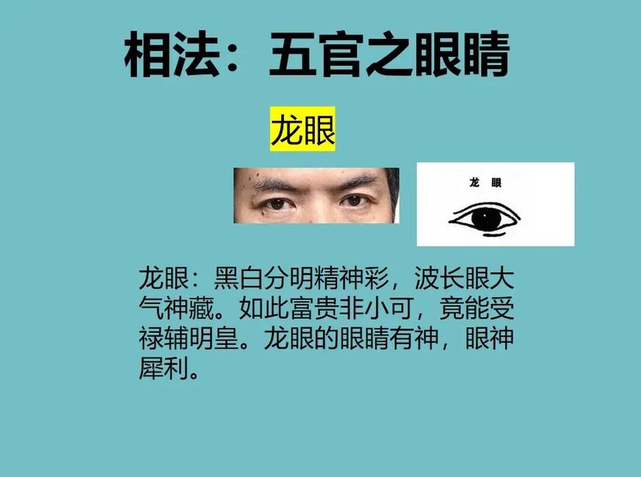 识人术:面相眼皮教你识人