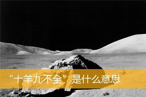十羊九不全是什么意思