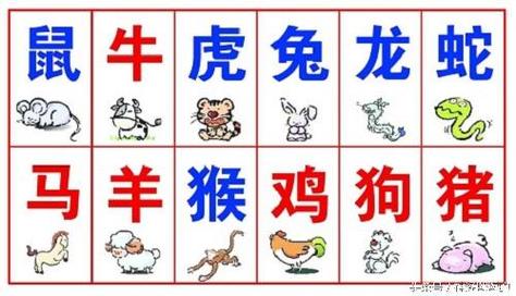 星座血型生肖性格分析(狮子座,酉鸡,B型血)