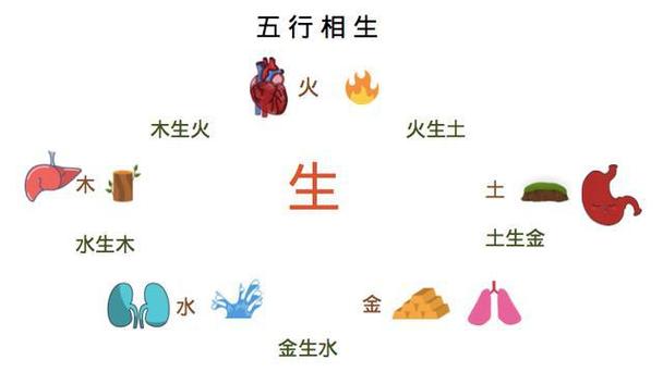 戊子日五行属什么