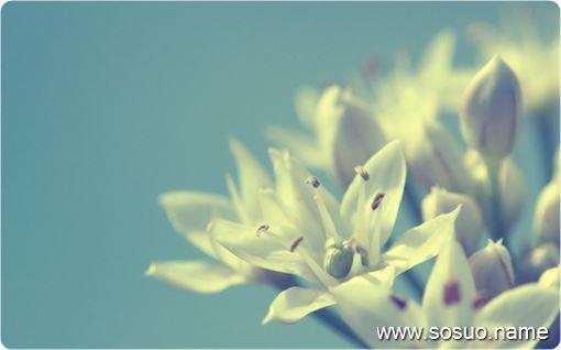 梦见别人的手什么意思