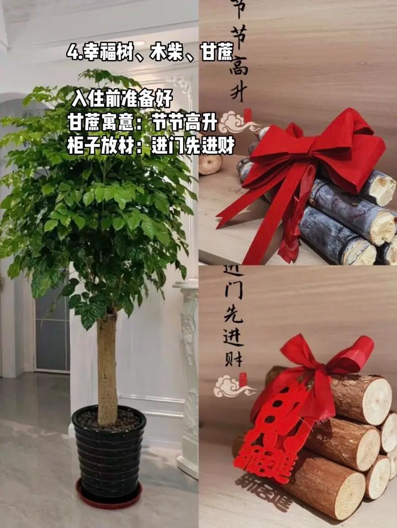 乔迁搬家避太岁:迁居禁忌
