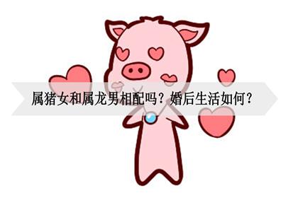 龙男猪女配不配