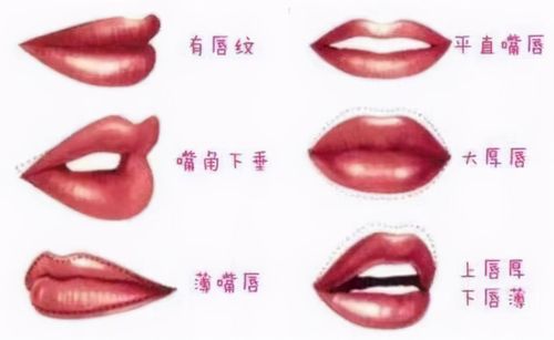 女人不同嘴型的面相