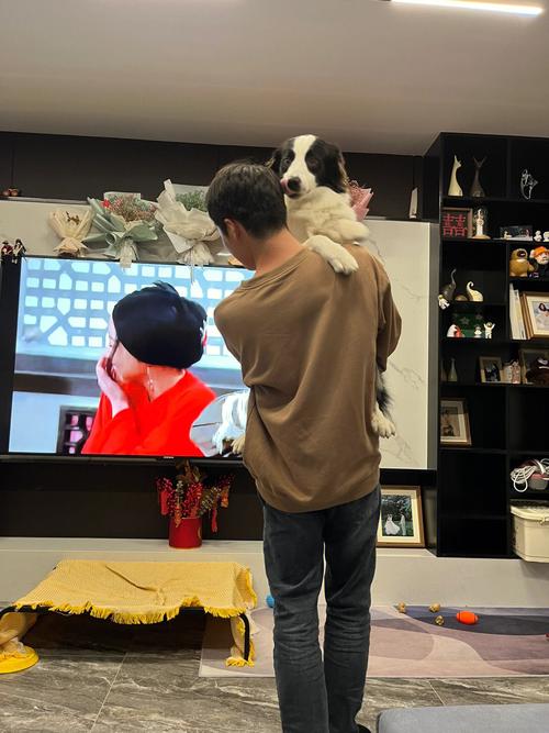 属虎男下班后回家第一件事做什么