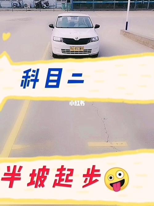 属狗人对哪个科目的考试最有信心