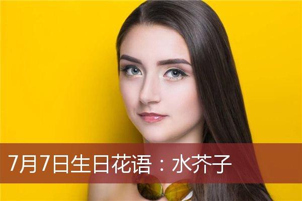 7月7日生日花语:水芥子,7月7日是什么星座?