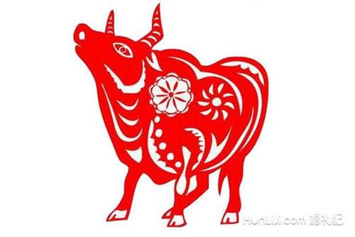属牛本命年不能穿红