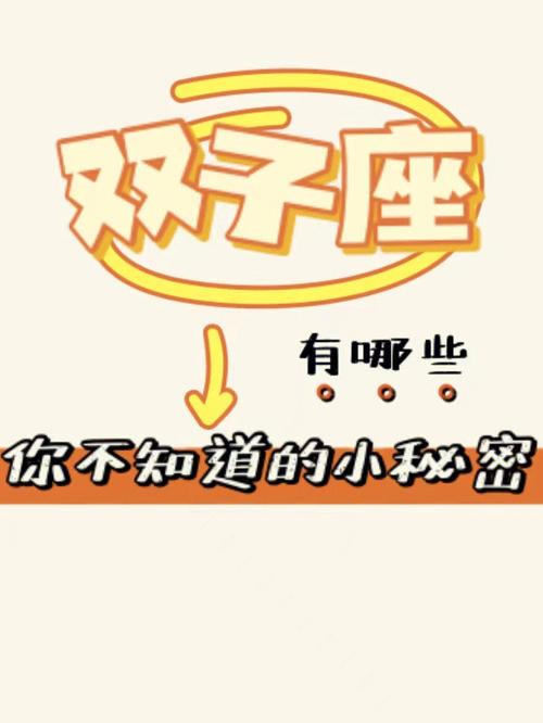 双子座的秘密
