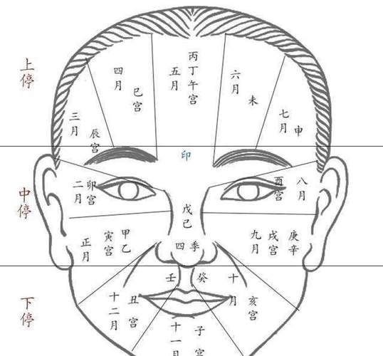面相基础,教你如何快速入手面相术
