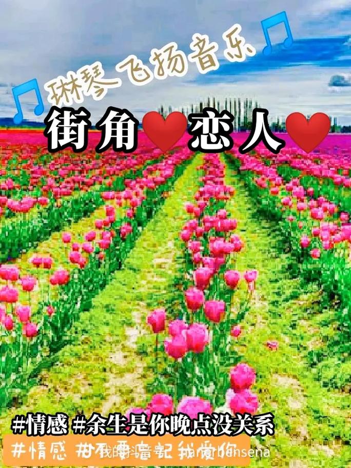 射手座最喜欢听的歌