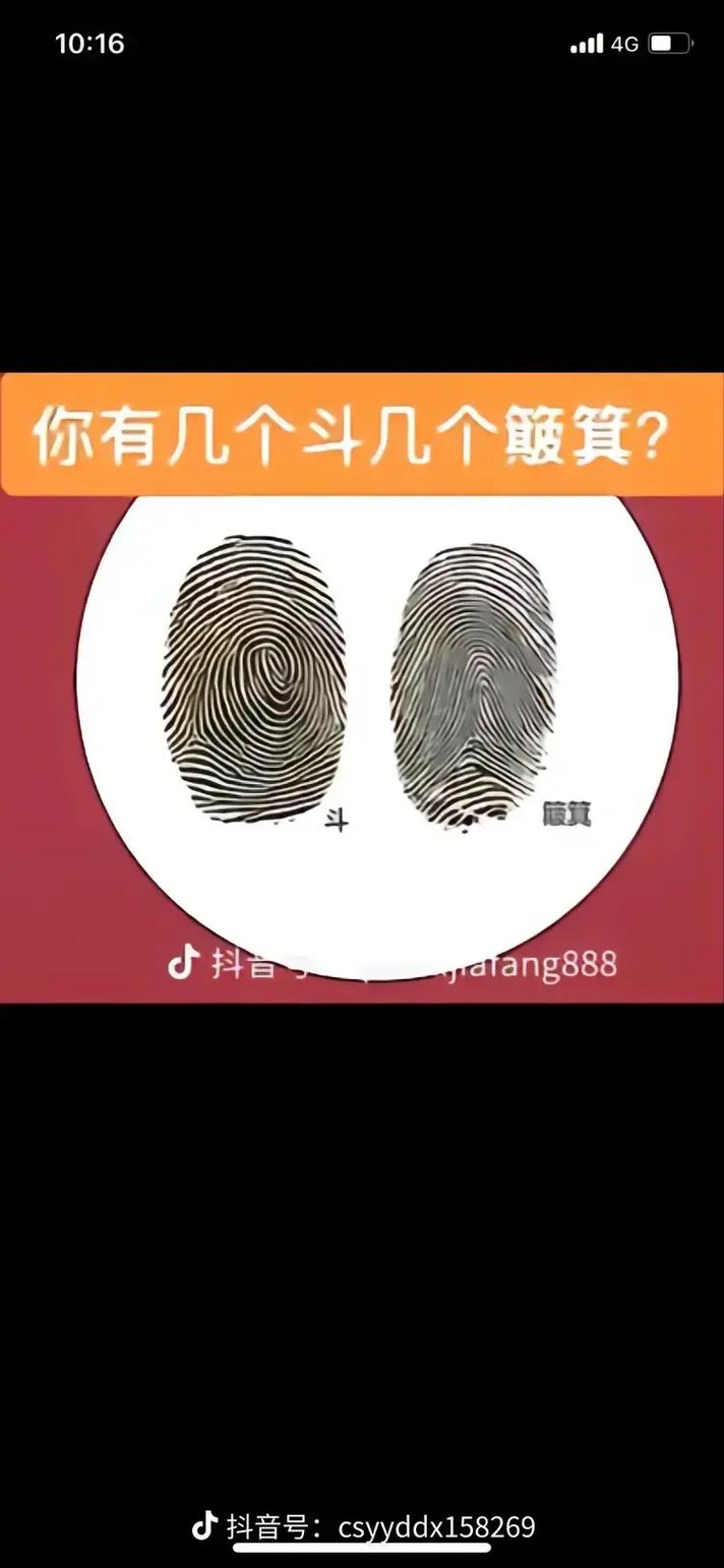 十指全是簸箕的是帝王命