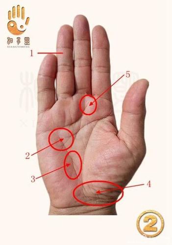 中指下面的竖线代表什么