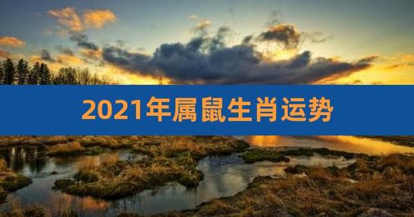艾菲尔 2021年属鼠运势吉凶抢先看