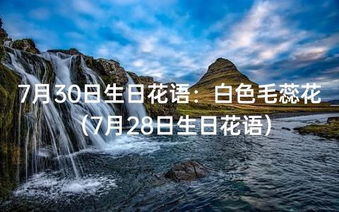 七月下旬生日花及花语