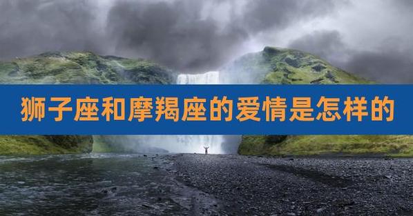 狮子座和摩羯座的爱情