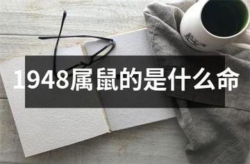 1948年属鼠是什么命?好还是坏