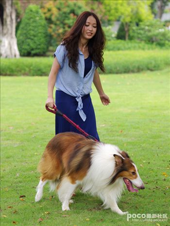 属狗女人