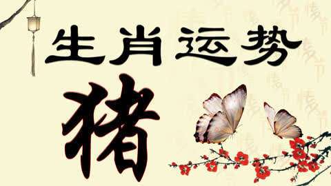 生肖猪2012年4月爱情桃花运预测