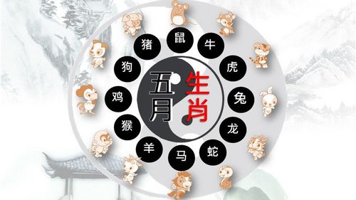赖国光2016年12月生肖运势