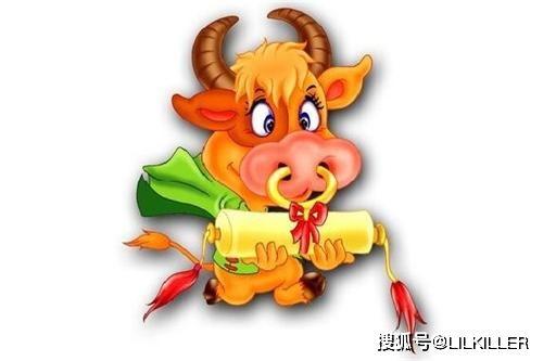 本命年:2021年生肖属牛男感情婚姻