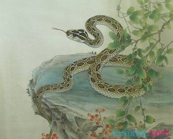 宋韶光2019年属蛇运势完整版