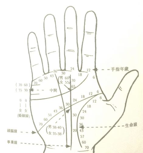 女人右手掌纹图解