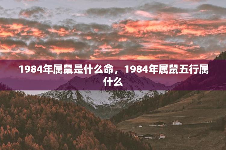 1984年的命运 1984年的命运太坎坷