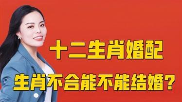 生肖不合,结婚后生活会幸福吗