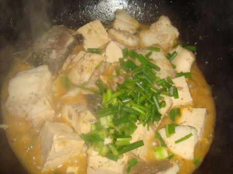 梦见鱼炖豆腐