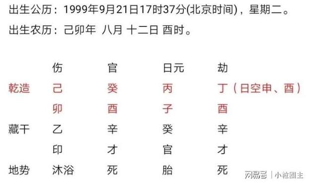 癸水生于巳月透丙火代表了什么