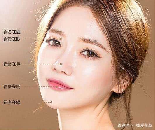 旺夫鼻长什么样子女人旺夫鼻介绍