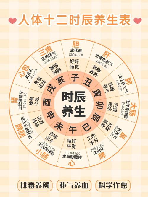 十二时辰与五行对照表