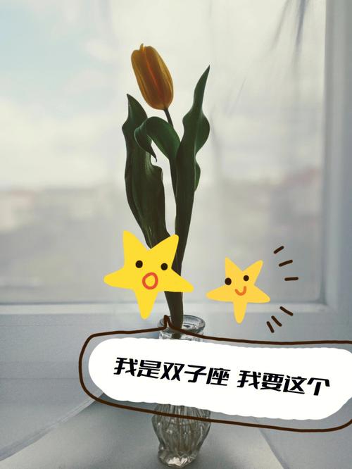双鱼座男喜欢鲜花吗