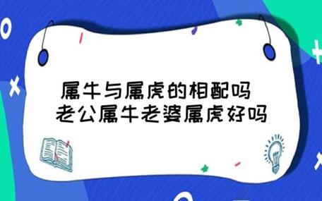 牛和虎能结婚吗