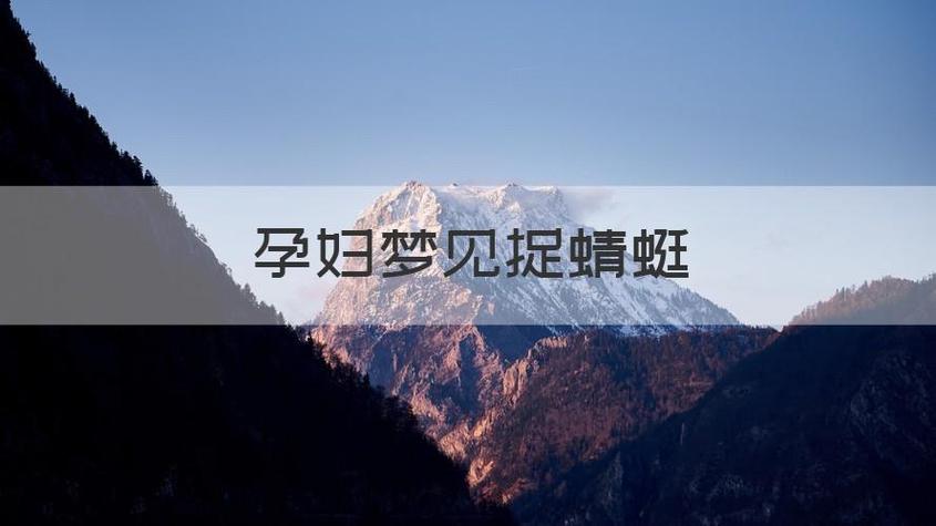 孕妇做梦梦到蜻蜓