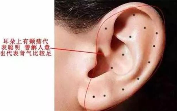 耳朵看相看命运:看你是否有福又富贵