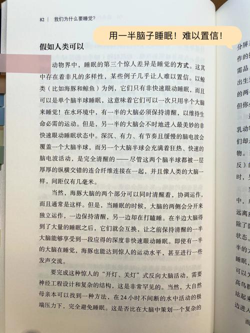 AB血型君的睡眠质量怎么样