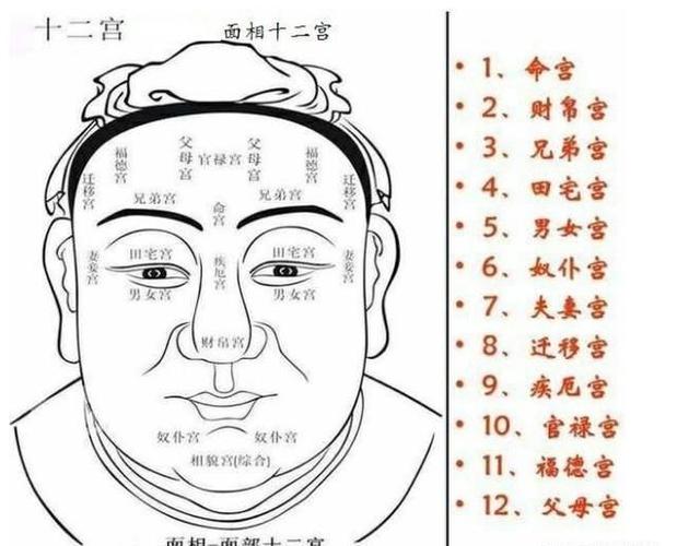 面相学入门知识:面相金口诀