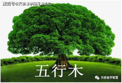 五行缺木的人适合在今年年底结婚吗