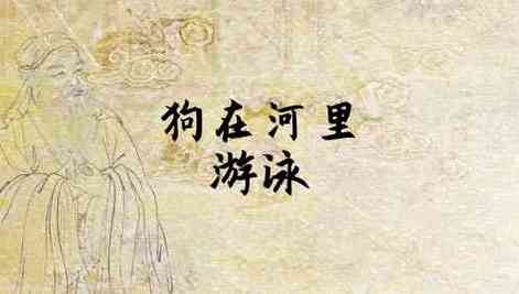 梦见狗在水中游泳