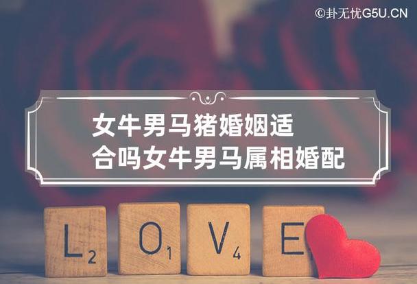 女牛男马猪婚姻适合吗,家庭关系会和睦吗?