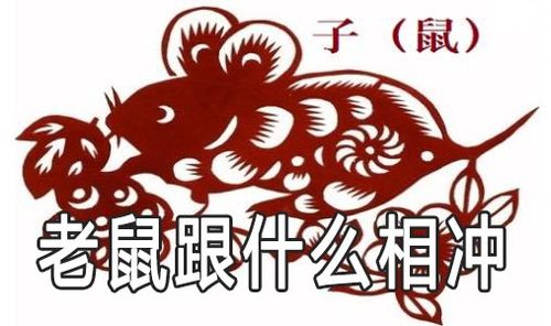 生肖鼠和什么生肖相冲