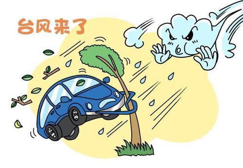 梦见台风来了有什么启示?