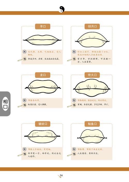 面相嘴唇分析 面相嘴唇分析图解