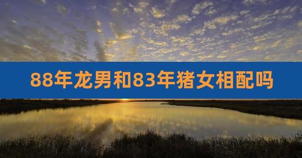 1983年男猪1988年女龙相配吗