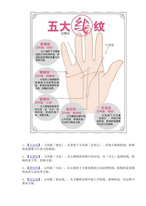 教你看女人手相
