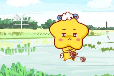 03年属羊有什么灾难