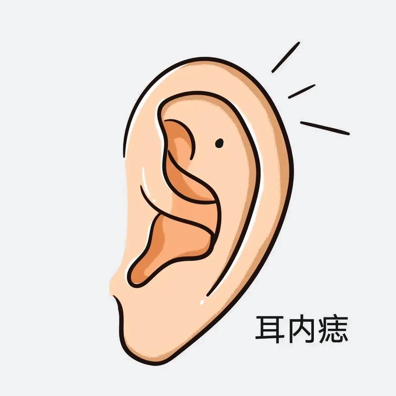 耳朵位置低面相