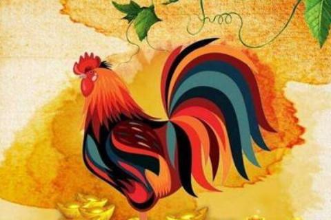 属鸡女对自己的定位是什么